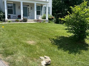 Natasha H.'s Lawn Service service result