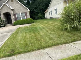 Mustafa L.'s Lawn Mowing Service service result