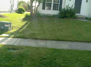 Ardis N.'s Lawn Service service result