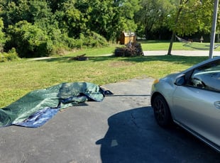 Dennis Lyn Z.'s Lawn Mowing Service service result