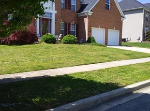 Gregory V.'s Lawn Mowing service result