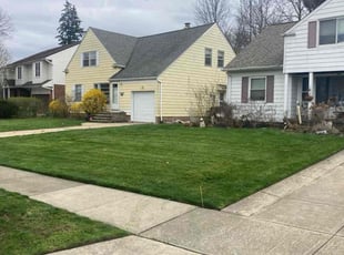 Charity M.'s Lawn Mowing service result
