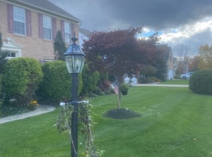Maryanne C.'s Lawn Maintenance service result