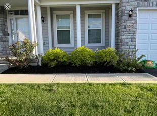 Michael N.'s Lawn Maintenance service result