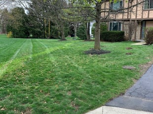 Laura S.'s Lawn Mowing service result