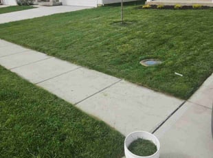 Bonnie W.'s Yard Cutting service result
