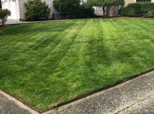 Mayank J.'s Grass Cutting service result