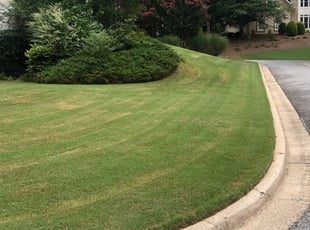 Debra M.'s Lawn Maintenance service result
