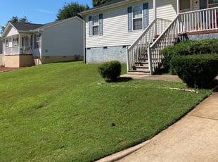 tiffani S.'s Grass Cutting service result