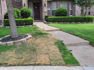 Joyce T.'s Lawn Maintenance service result