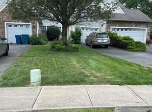 Robert H.'s Lawn Care service result