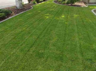 Amy M.'s Lawn Service service result