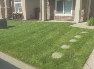 Aimee B.'s Lawn Service service result
