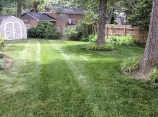 Felicia S.'s Lawn Care service result