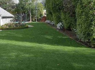 Angie B.'s Lawn Mowing service result