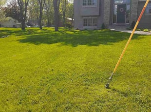 Monica I.'s Lawn Care service result