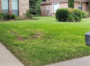 Donna M.'s Lawn Maintenance service result