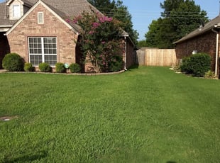 Nelson S.'s Lawn Service service result