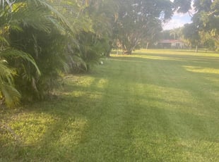 Mark P.'s Lawn Mowing Service service result