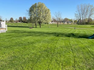 Blair D.'s Lawn Care service result