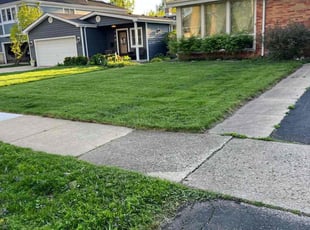 Robert C.'s Lawn Service service result