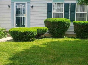 Lydia W.'s Lawn Service service result
