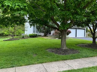Mark T.'s Lawn Care service result