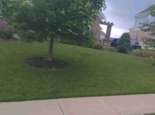 Sam H.'s Grass Cutting service result