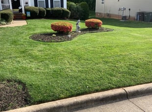 Randy F.'s Lawn Maintenance service result