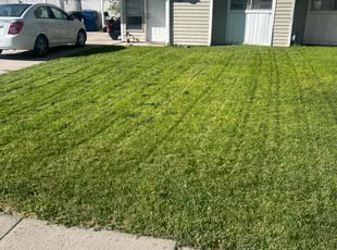 Lisa H.'s Lawn Mowing Service service result
