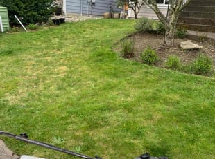 Robert S.'s Lawn Service service result