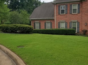 Patricia L.'s Lawn Care service result
