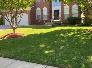 Louis B.'s Lawn Service service result