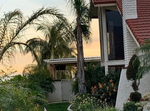 Chandel G.'s Lawn Mowing service result