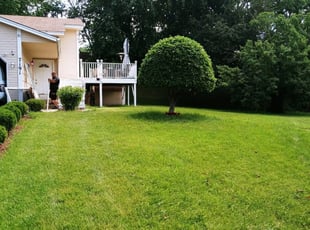 Clayton J.'s Grass Cutting service result
