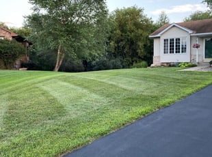 Wanda H.'s Lawn Mowing Service service result