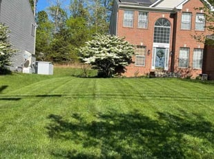 Frances A.'s Yard Cutting service result