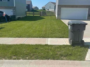 Laurie W.'s Lawn Care service result