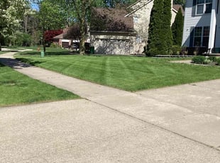 Tracy G.'s Lawn Service service result