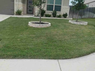 Souvik N.'s Lawn Mowing Service service result