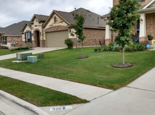 Nicole L.'s Lawn Service service result