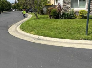 Faith H.'s Lawn Service service result