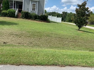 Steven S.'s Lawn Maintenance service result