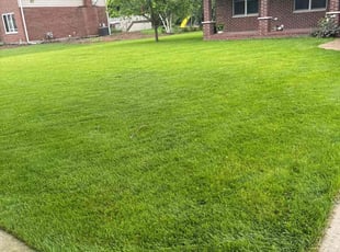 Shellise C.'s Lawn Service service result