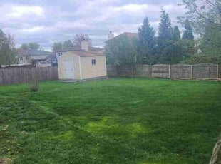 Jeff F.'s Lawn Mowing service result