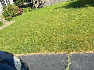 Michelle H.'s Lawn Care service result