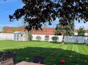 Walter C.'s Lawn Mowing service result