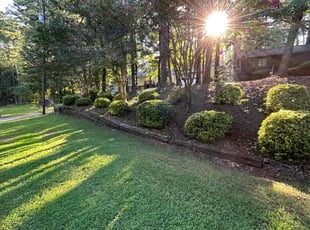 DONALD W.'s Lawn Mowing Service service result