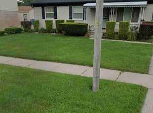 Kasandra G.'s Yard Cutting service result