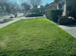 Bernice B.'s Lawn Service service result